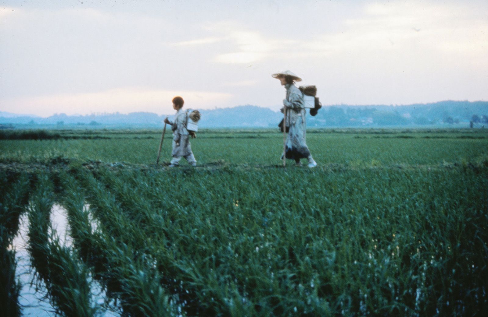 Photo du film Le Vase de sable Photo 6 sur 8 AlloCiné