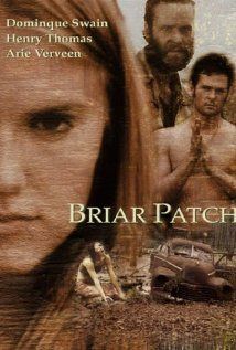 Briar patch streaming fr