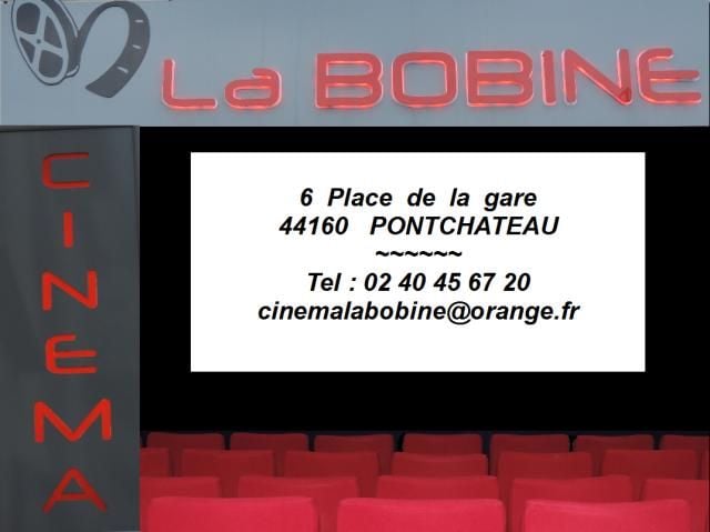 Programme Ciné Malouine Saint Malo De Guersac Cinéma La Bobine à Pontchâteau (44160 ) - AlloCiné