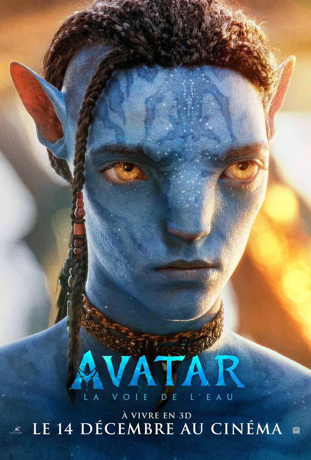 Affiche du film Avatar la voie de l