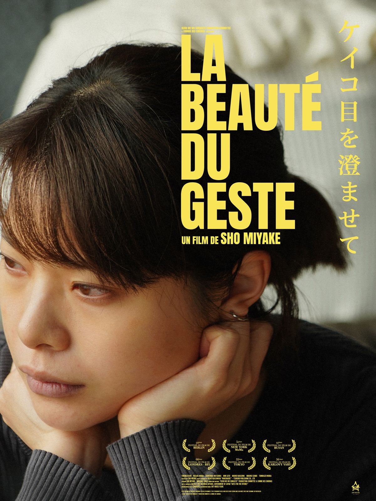 La Beauté du geste streaming fr