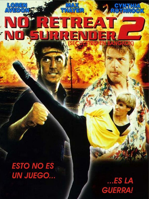 Karaté Tiger 2 streaming gratuit