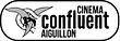 Cinéma du Confluent