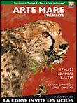 Arte Mare - Festival du Film Méditerranée de Bastia
