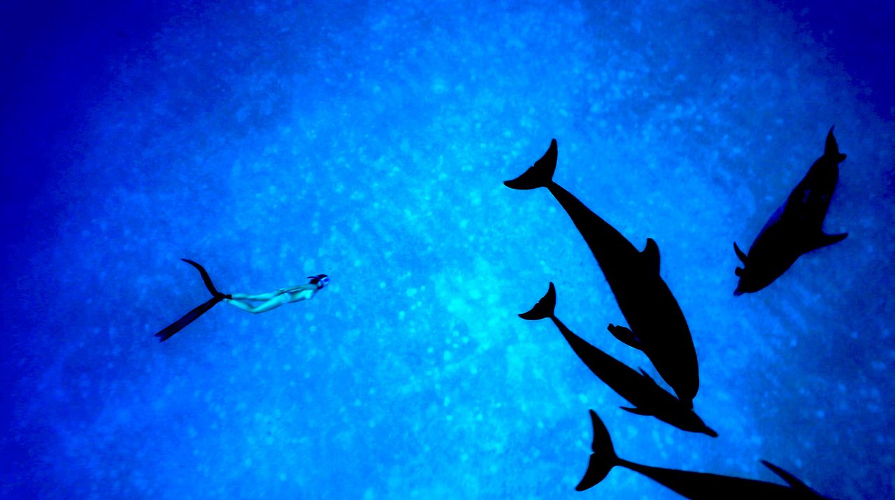 Nos âmes libres : Photo