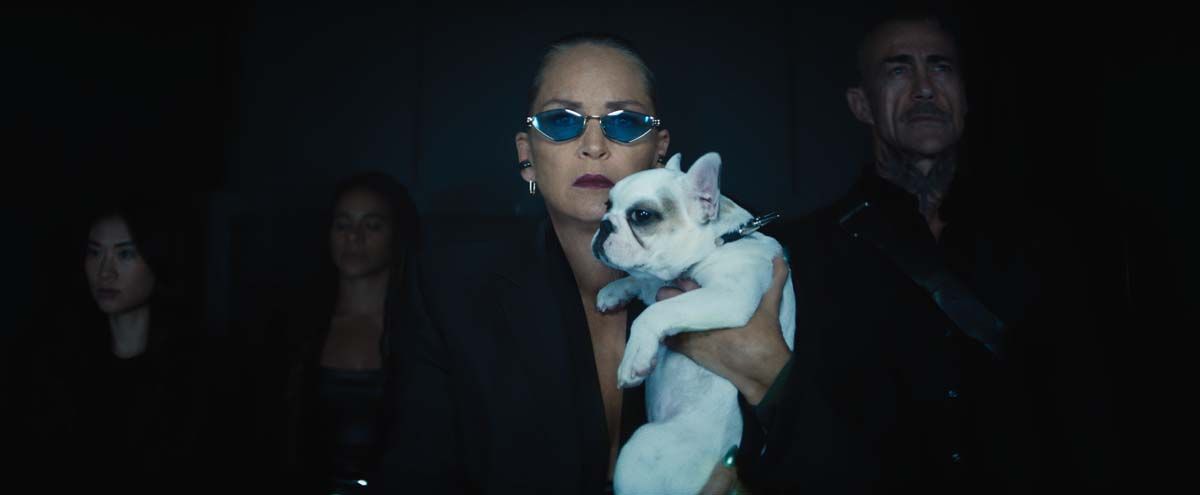 Nobody 2 : Photo