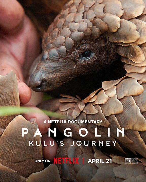 Pangolin : Chemins de vie : Affiche