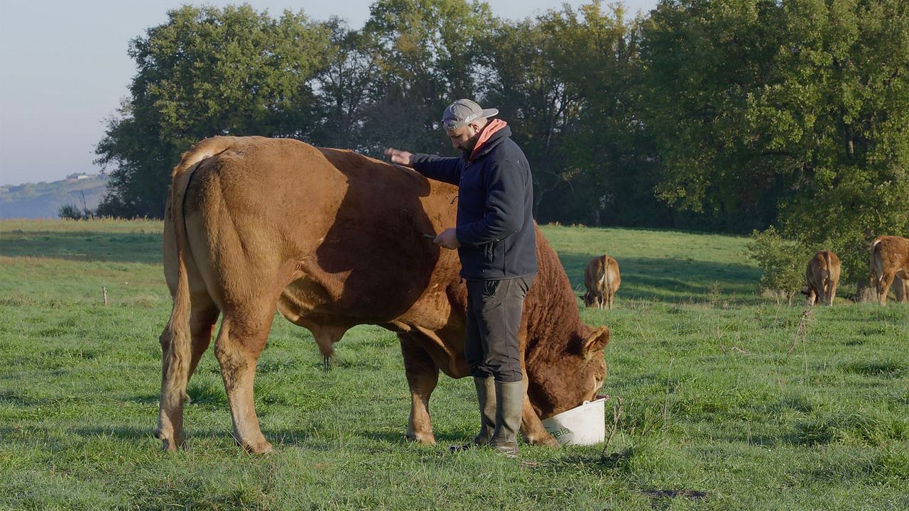 Rural : Photo