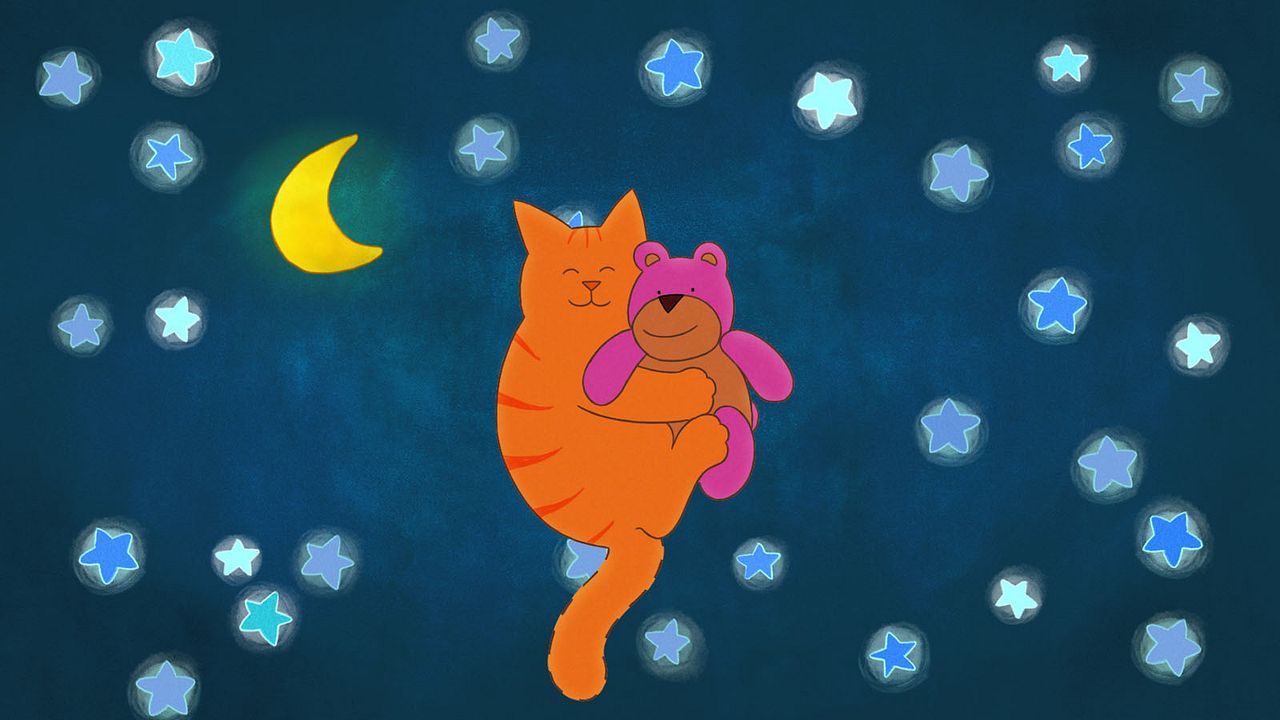 Tom le chat - À la recherche du doudou perdu : Photo
