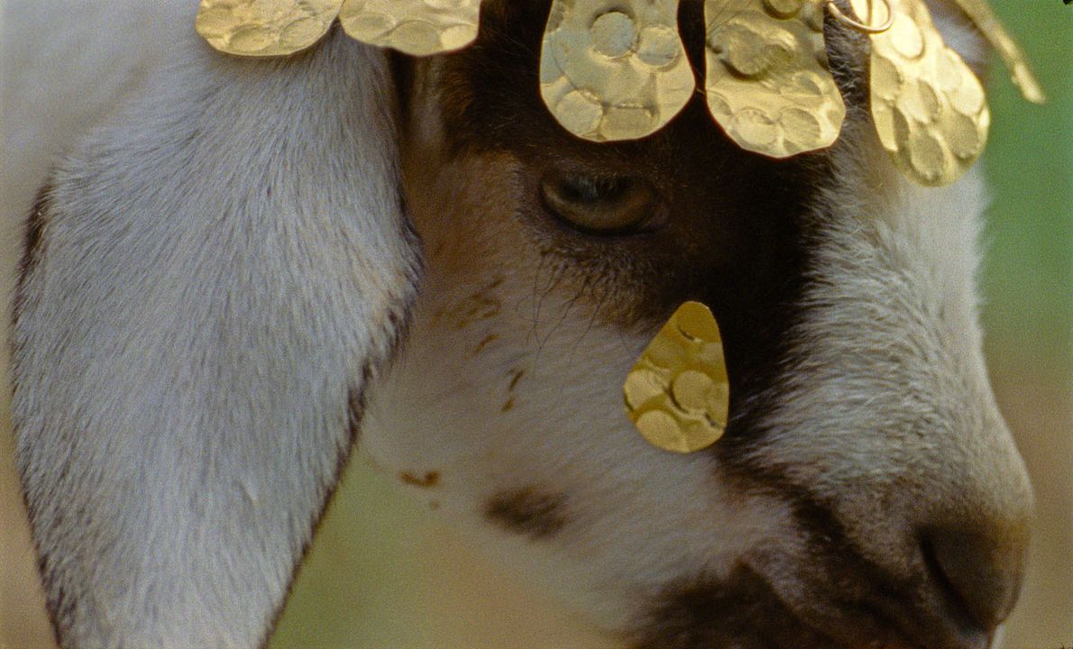Les Saisons : Photo