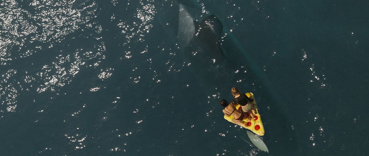 Killer Whale : Photo