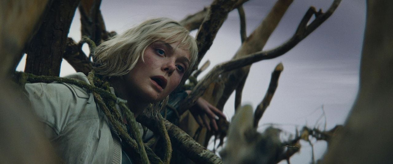 Predator: Badlands : Photo Elle Fanning