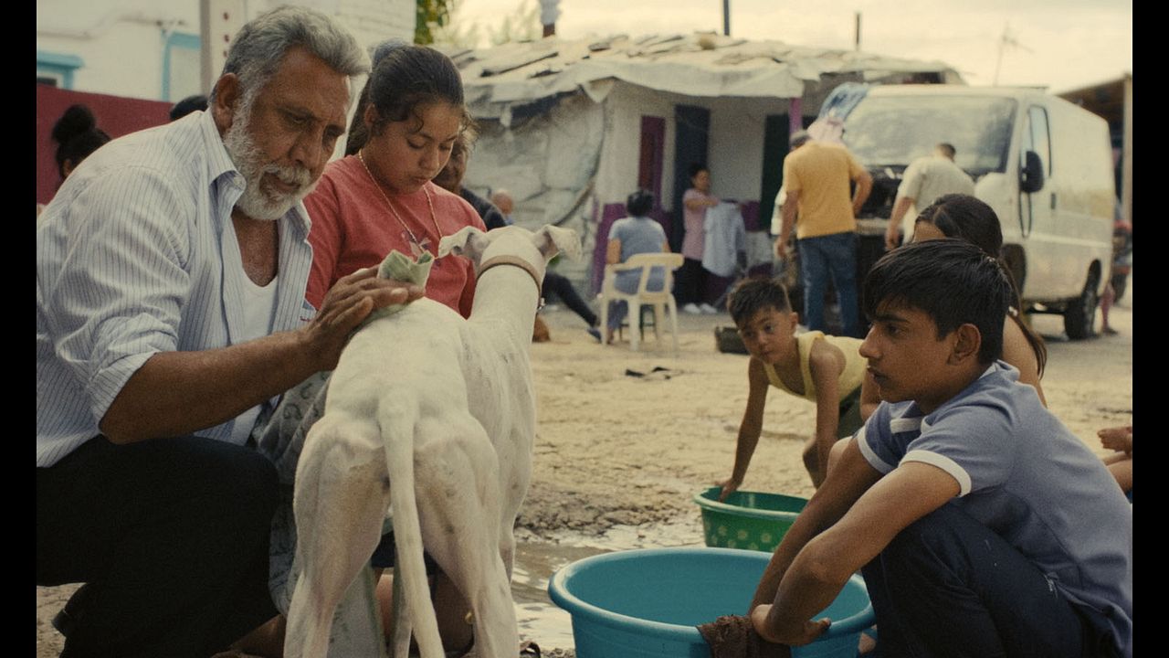 Ciudad sin sueño : Photo Antonio Fernández Gabarre