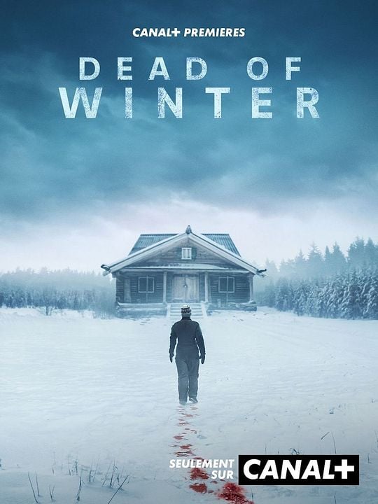 Dead Of Winter : Affiche