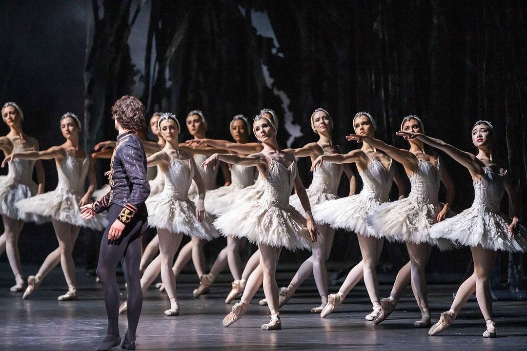 Le Lac des Cygnes (The Royal Ballet) : Photo