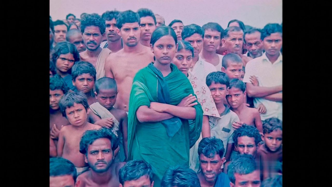 The Story of Documentary Film (The 1970s) : Photo