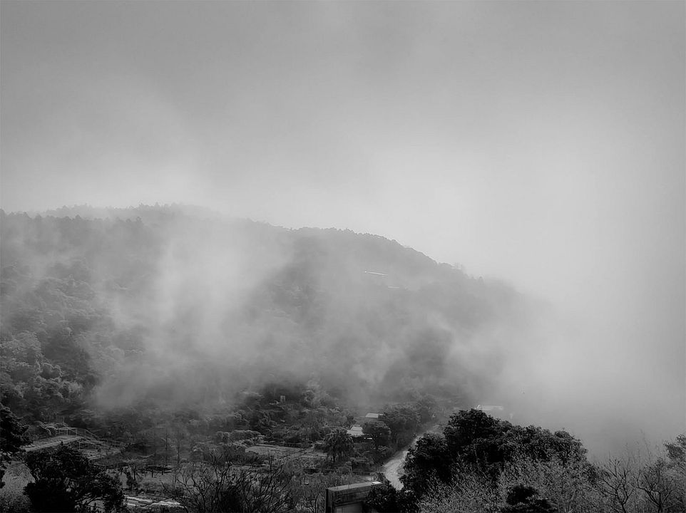 I'm Still Kind of a Daydreamer : Photo