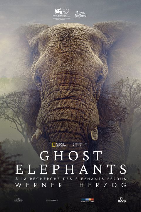Ghost Elephants : Affiche