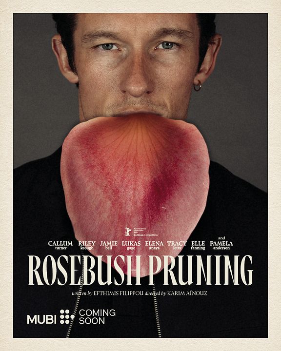 Rosebush Pruning : Affiche