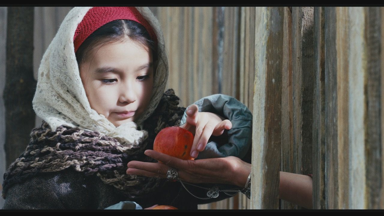 Pomme d’amour : Photo