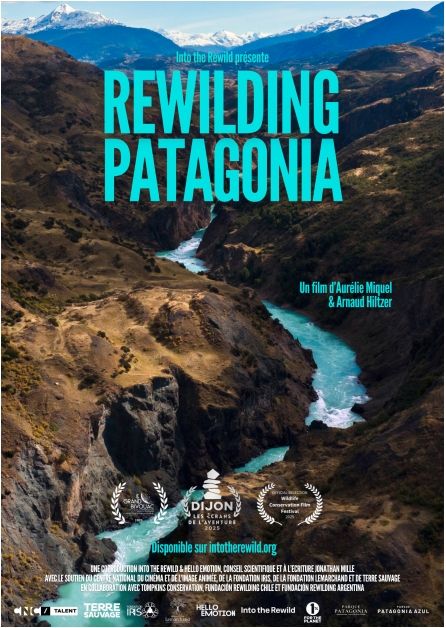 Rewilding Patagonia : Affiche