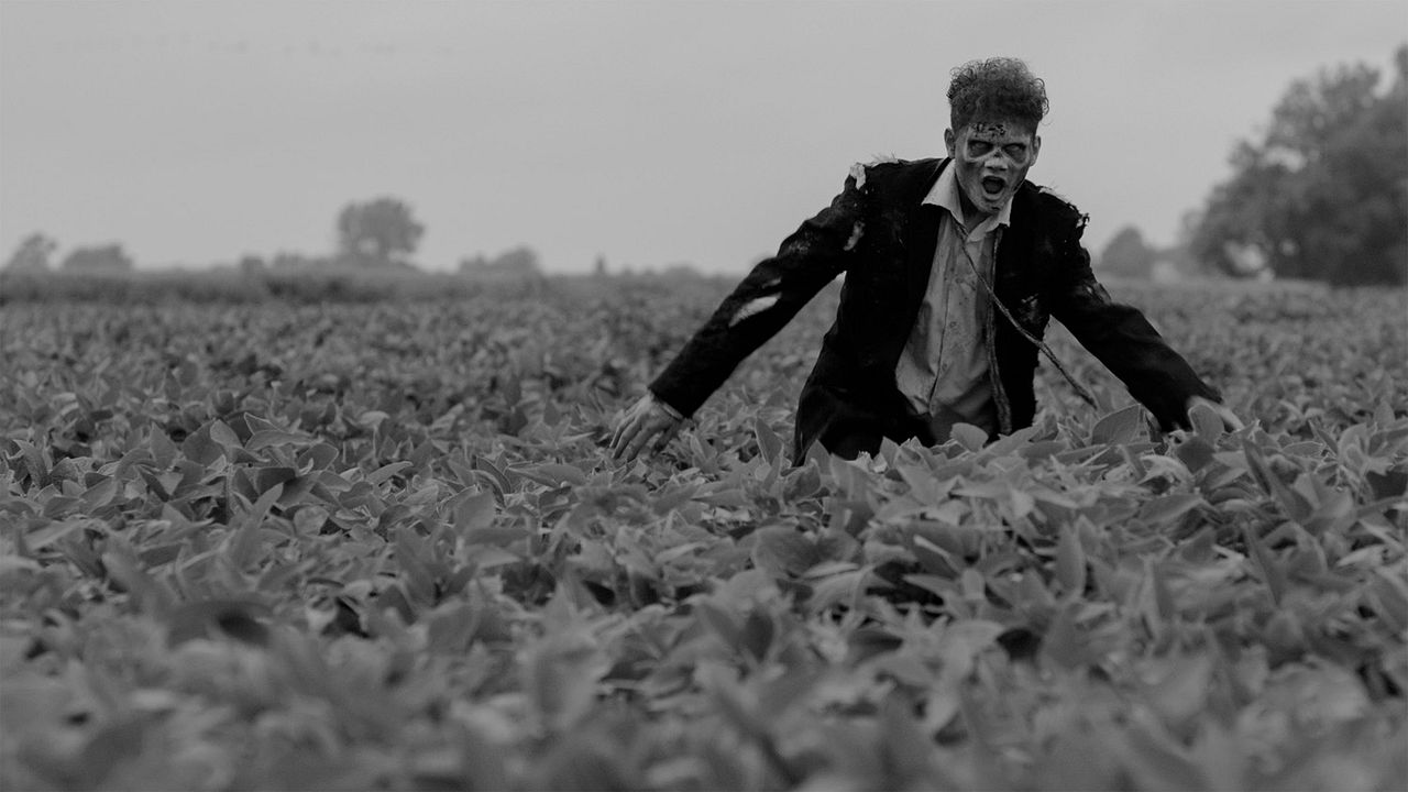 Vampire Zombies... From Space! : Photo