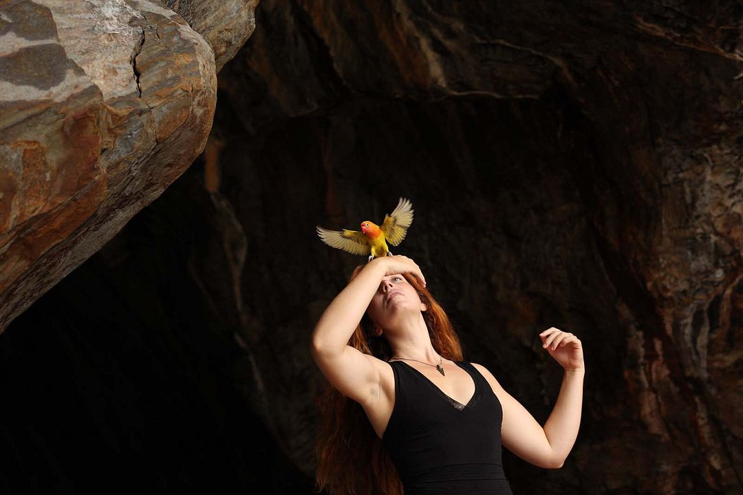 Les Oiseaux de Pluie : Photo