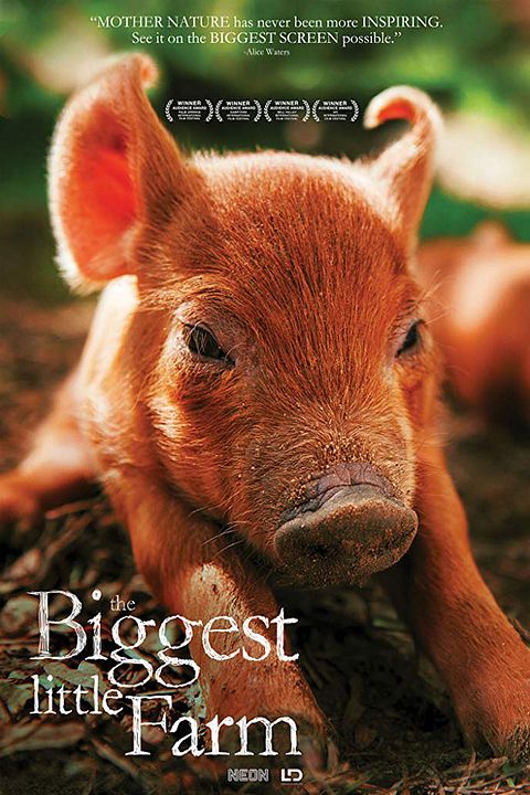 Tout est possible (The biggest little farm) : Affiche