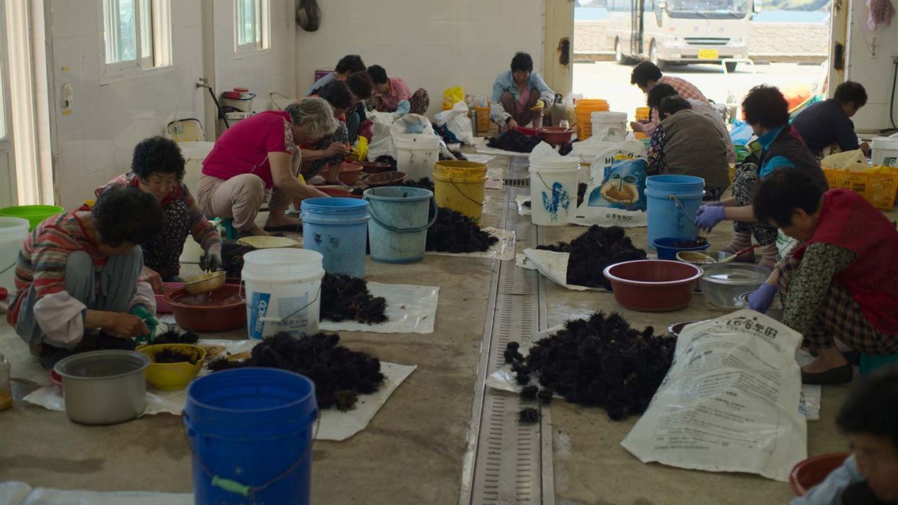 Haenyeo : les dernières gardiennes de la mer : Photo