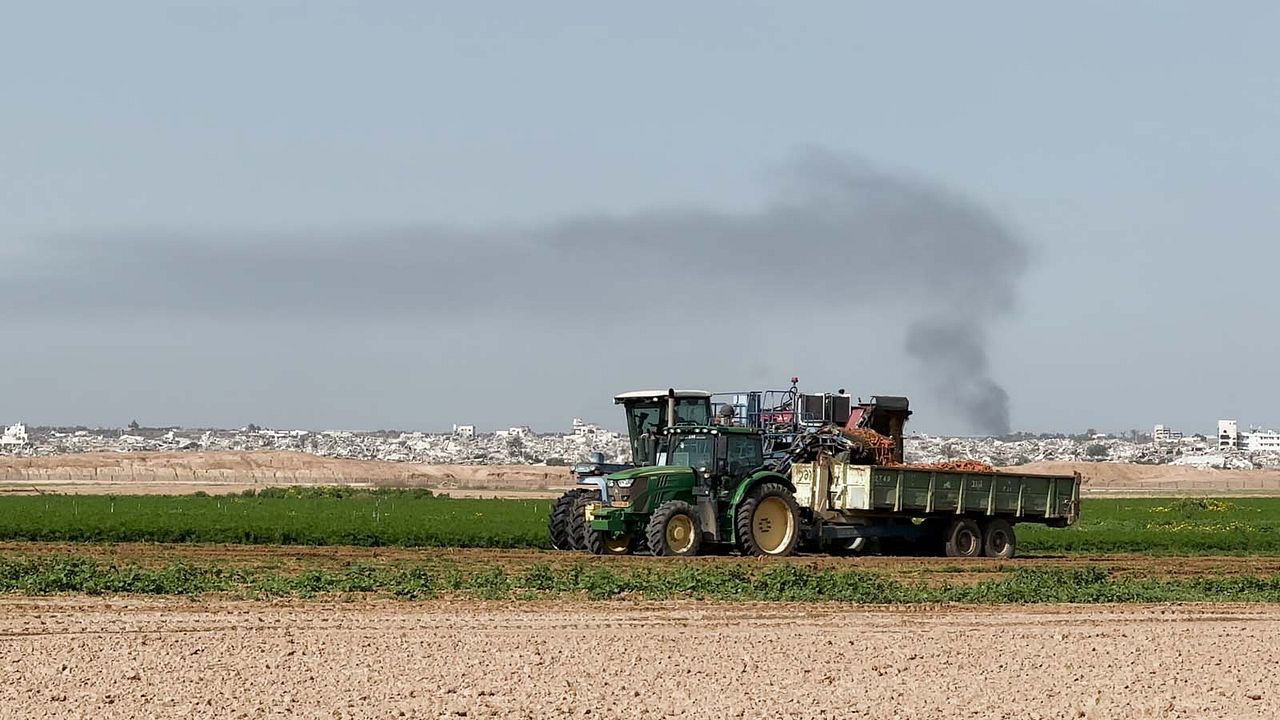 Collapse (Face à Gaza) : Photo