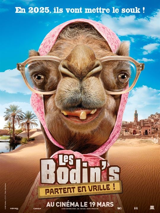 Les Bodin’s partent en vrille : Affiche