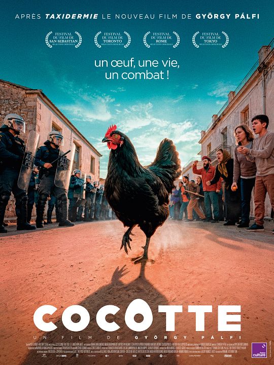 Cocotte : Affiche