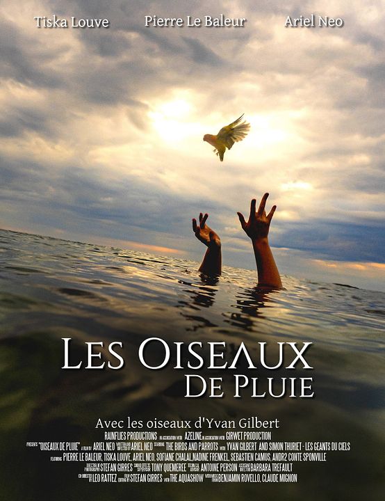 Les Oiseaux de Pluie : Affiche