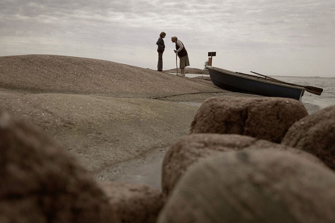 The Summer Book : Photo