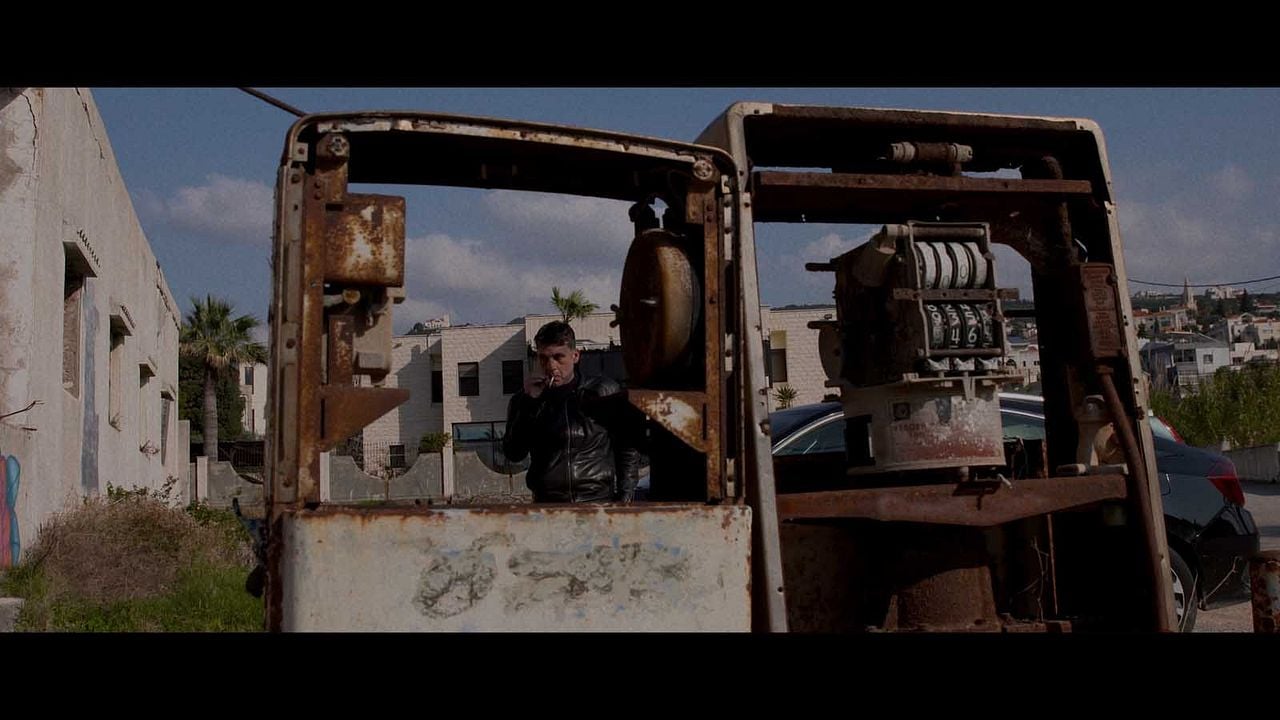 City Exterminator : Photo