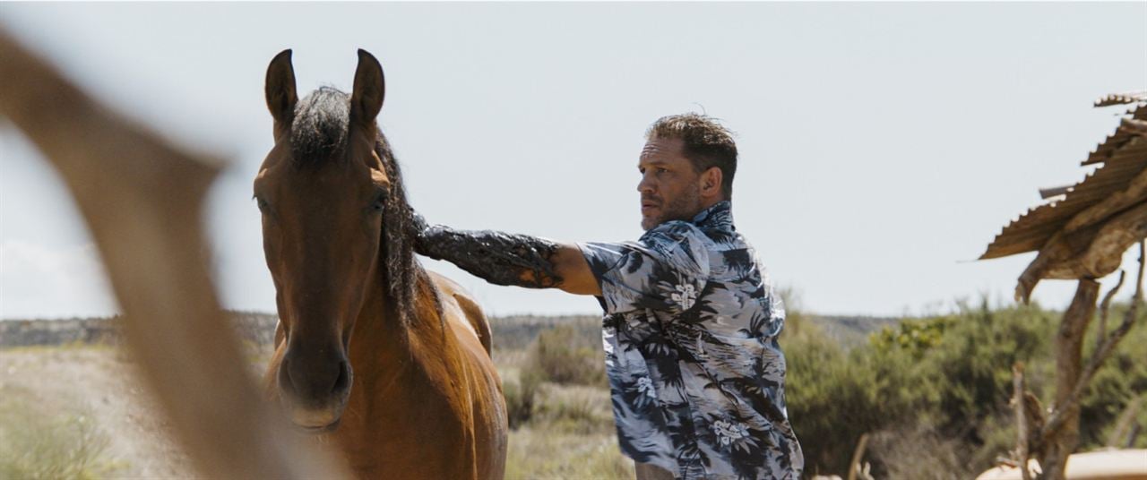 Venom: The Last Dance : Photo Tom Hardy