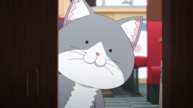 Ramen Akaneko : Photo