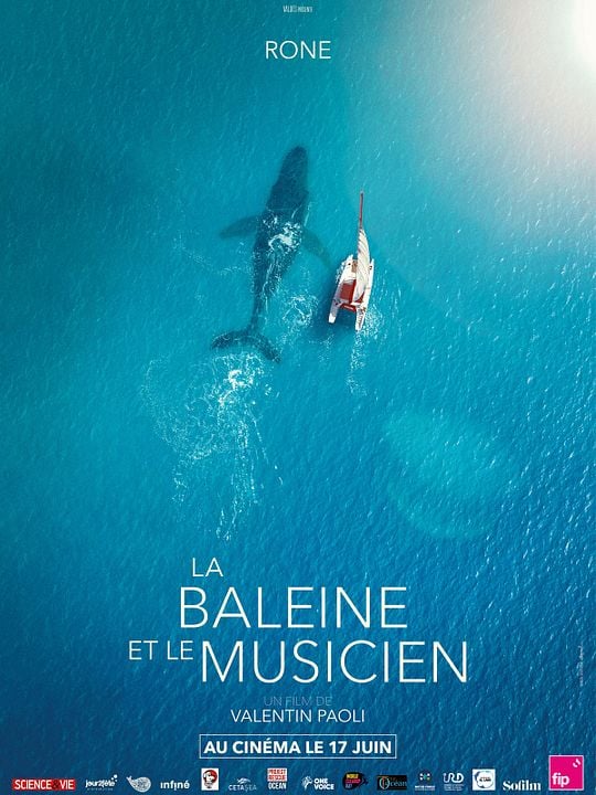 La Baleine et le musicien : Affiche