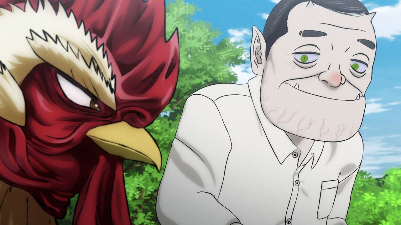 Rooster Fighter : Photo