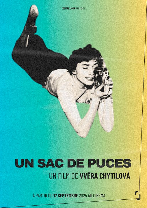 Un sac de puces : Affiche