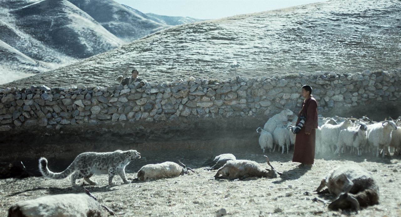 Le Léopard des neiges : Photo