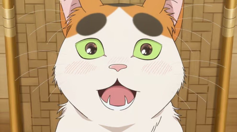 Tonari no Yokai-san : Photo