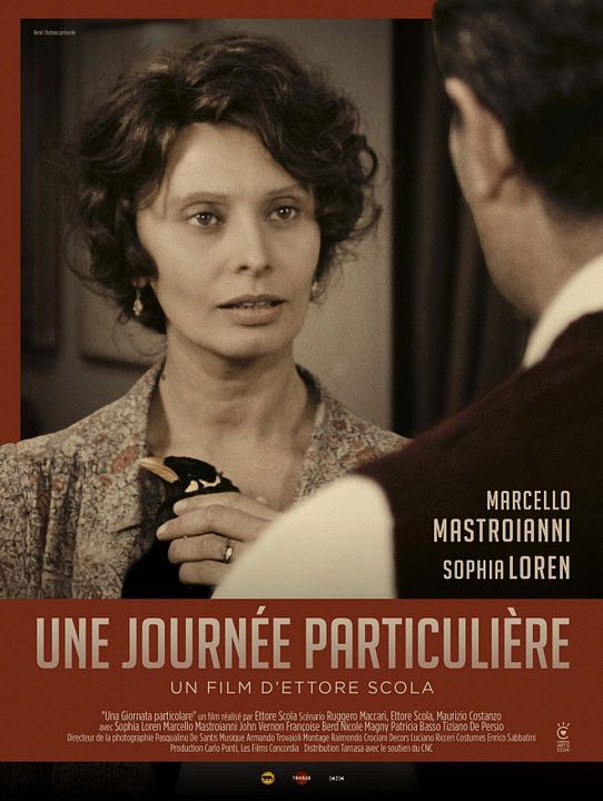 Une journée particulière : Affiche
