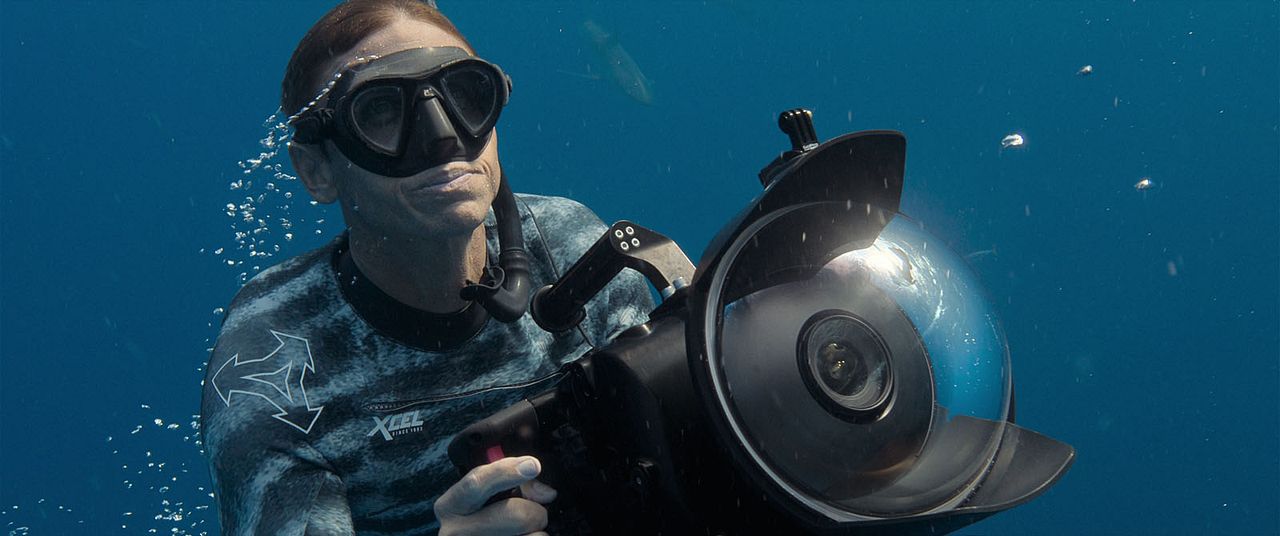 En paix avec les requins : Photo