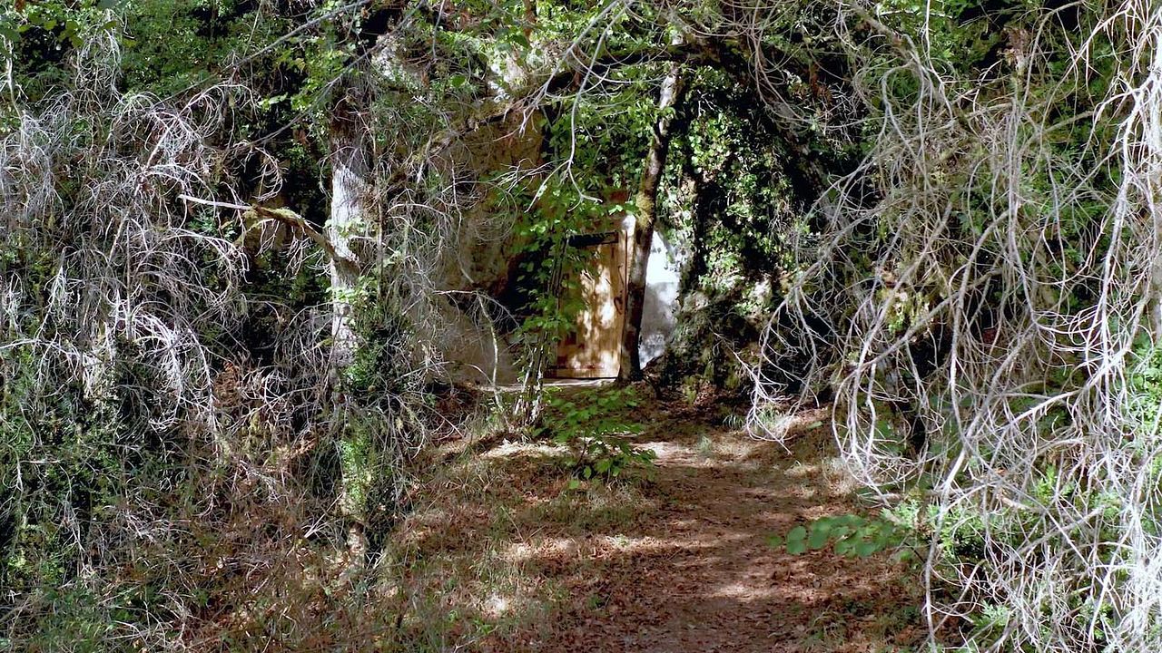 Rupestres : Photo