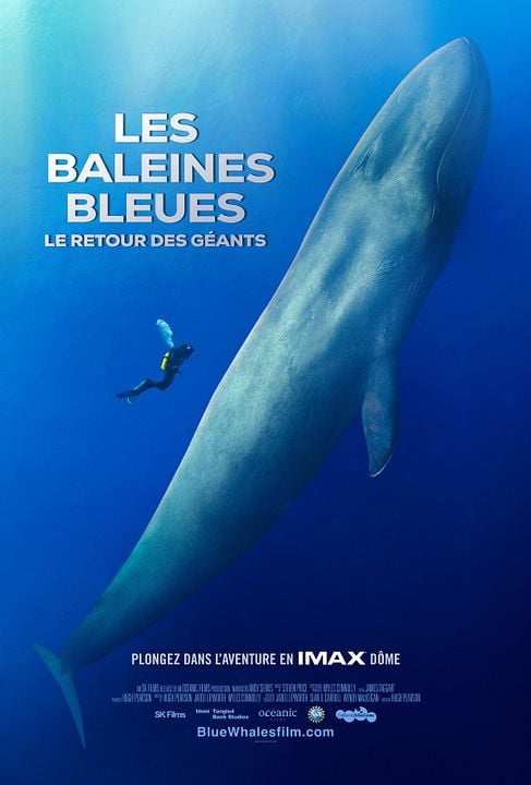 Les baleines bleues : le retour des géants : Affiche