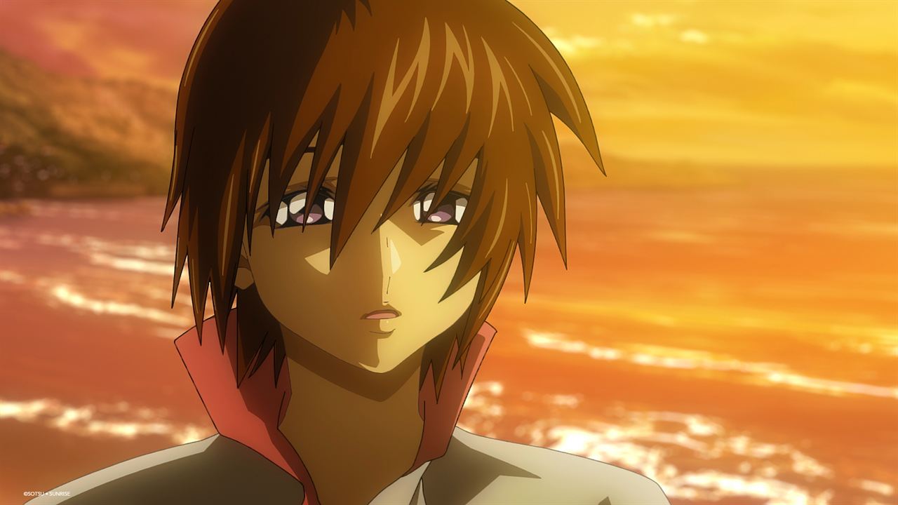 Mobile Suit Gundam Seed Freedom : Photo