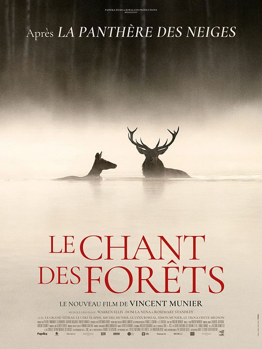 Le Chant des forêts : Affiche