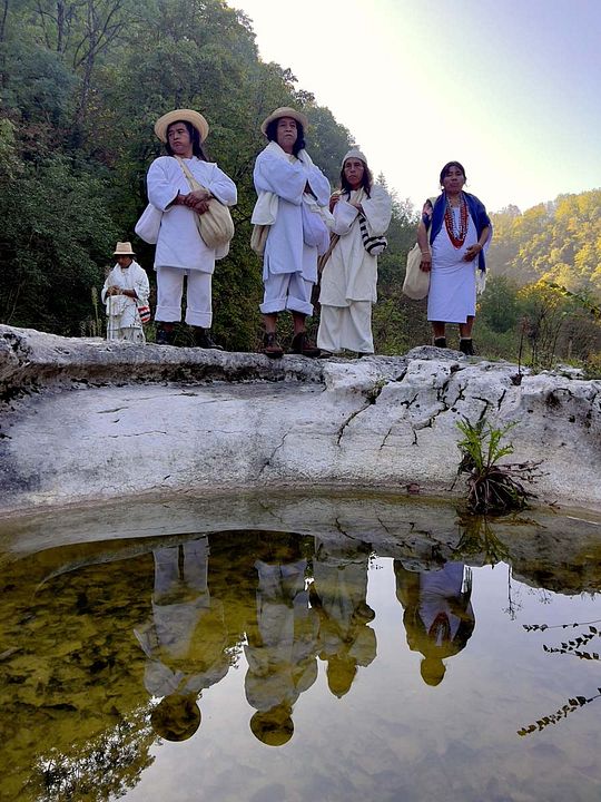 Kogis, ensemble pour soigner la Terre : Photo