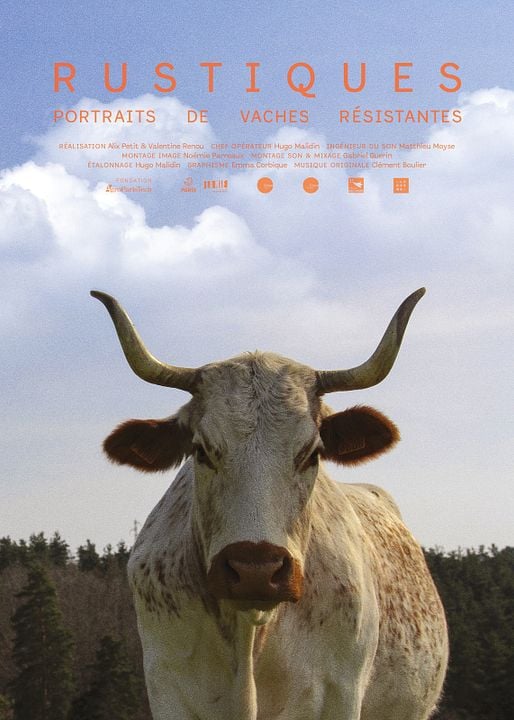 Rustiques, portraits de vaches résistantes : Affiche